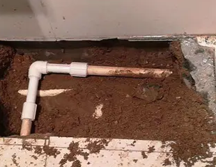 定西测漏水哪家好